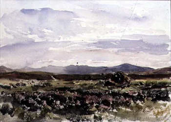 On the Hills, Dolwyddelan, North Wales